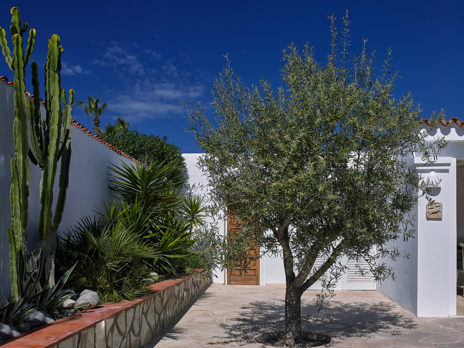 Casa Sabina Dirk 2019 Ibiza CF131711