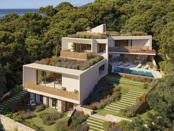 Casa Treehills